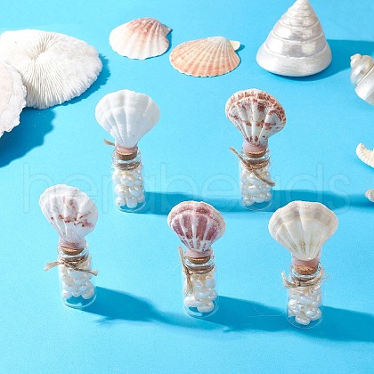 Natural Scallop Shell Beads with Glass Jar Glass Bottles PALLOY-JF03749-1