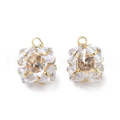 Clear Glass Charms KK-M233-31G-1