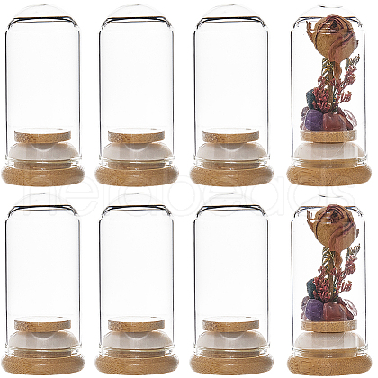 SUNNYCLUE Clear Glass Dome Cover CON-SC0001-05C-1