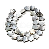 Natural Black Lip Shell Beads Strands SHEL-M021-02A-2