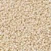MIYUKI Delica Beads SEED-J020-DB0204-3
