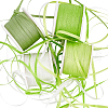   4 Rolls 4 Colors OCOR-PH0004-31-8