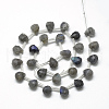 Natural Labradorite Beads Strands G-R435-15G-2