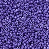 MIYUKI Delica Beads SEED-X0054-DB2359-3