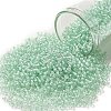 TOHO Round Seed Beads SEED-XTR11-1065-1