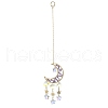 Natural Amethyst Moon Pendant Decorations HJEW-JM01166-1