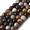 Natural Mexico Crazy Agate Beads Strands G-L615-A01-02-3