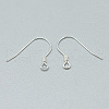 925 Sterling Silver Earring Hooks STER-T002-170S-2