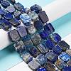 Natural Lapis Lazuli Beads Strands G-Z043-A07-01-2