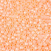 Glass Seed Beads SEED-T008-01C-3