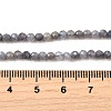 Natural Tanzanite Beads Strands G-S387-A01-3mm-5