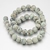 Frosted Round Natural Sesame Jasper/Kiwi Jasper Bead Strands G-J338-12-10mm-2