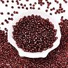 6/0 Baking Paint Transparent Glass Seed Beads X1-SEED-N006-06D-2