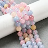Dyed Natural Malaysia Jade Beads Strands G-G021-02B-24-4