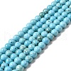 Dyed & Heated Natural Magnesite Beads Strands G-G924-01B-02-1