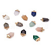 Craftdady 24Pcs 12 Style Natural & Synthetic Gemstone Pointed Pendants G-CD0001-04-2