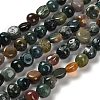 Natural Indian Agate Beads Strands G-P497-01E-89-1