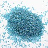 8/0 Round Glass Seed Beads X-SEED-J011-F8-179-2