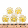 Transparent Acrylic Beads TACR-S154-19A-81-4