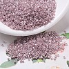 MIYUKI Delica Beads X-SEED-J020-DB0256-1