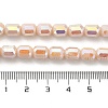 Electroplate Glass Beads Strands EGLA-D030-06B-4