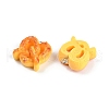 Resin Pendants RESI-I061-05A-2