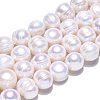 Natural Cultured Freshwater Pearl Beads Strands PEAR-N013-10D-3