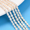 Natural Cultured Freshwater Pearl Beads Strands PEAR-N012-03S-1