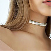 Craftdady 4 Yards 2 Colors Rhinestone Cup Chains FIND-CD0001-17-11