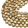 Natural Picture Jasper Beads Strands G-C116-A142-01-3