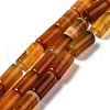 Natural Agate Beads Strands G-H295-E01-03-1