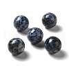 Natural Blue Spot Jasper Beads G-A206-02-07-1