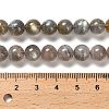 Natural Labradorite Beads Strands G-C207-A01-8mm-5
