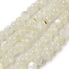 Natural White Shell Dyed Beads Strands BSHE-Z005-03G-1
