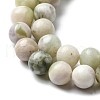 Natural Peace Jade Beads Strands G-E598-04C-4