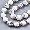 Natural Howlite Beads Strands G-T131-81B-3