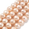 Natural Cultured Freshwater Pearl Beads Strands PEAR-C003-22C-2