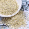 MIYUKI Round Rocailles Beads SEED-G007-RR0577-1