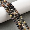 Natural Sodalite Beads Strands G-F591-13A-8