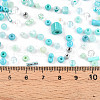 Glass Seed Beads SEED-N007-13D-4