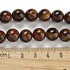 Synthetic Gold Clinquant Stone Beads Strands G-P549-A01-02C-5