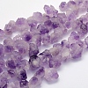 Natural Amethyst Beads Strands G-G697-D06-1