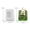 DIY Silicone Display Molds SIMO-P008-21A-1
