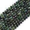 Natural Moss Agate Beads Strands G-P573-A19-01-2