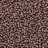 MIYUKI Round Rocailles Beads SEED-X0054-RR1085-3