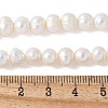 Natural Cultured Freshwater Pearl Beads Strands PEAR-I007-07O-02C-5