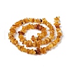 Natural Amber Chip Beads Strands G-E271-81-4