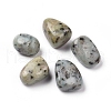 Natural Sesame Jasper/Kiwi Jasper Beads G-K302-A01-1