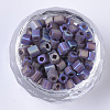 6/0 Transparent Glass Seed Beads SEED-S027-03B-08-2