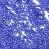 8/0 Glass Seed Beads SEED-Z001-C-E06-3